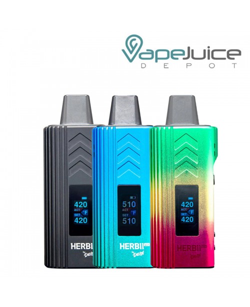 DazzLeaf Herbii Pro Dry Herb Vaporizer Kit